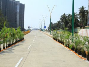 Kalanagar Flyover-2