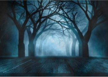 ‘या’ कलाकारांनी शेअर केले काही भितीदायक अनुभव; नक्की वाचा