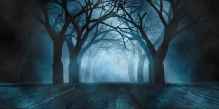 ‘या’ कलाकारांनी शेअर केले काही भितीदायक अनुभव; नक्की वाचा