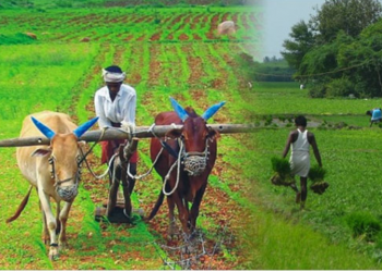 #सरळस्पष्ट शेतकऱ्यांविरोधात फॉरवार्डेड गरळ ओकणाऱ्यांसाठी रेड अलर्ट!