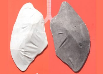 Vatavaran Pollution Lungs study - (1)