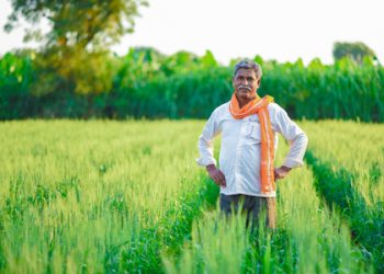 किमान हमी दराने खरीप पिकाच्या खरेदीत २७ टक्के वाढ