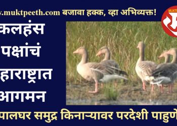 palghar Picnic point