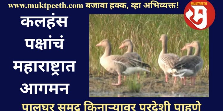 palghar Picnic point