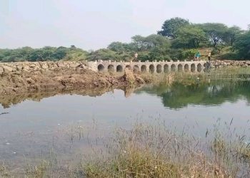 villeage Self-built bridge over the river