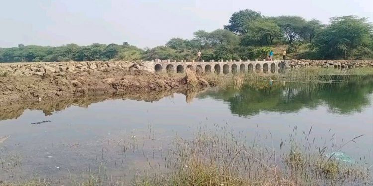 villeage Self-built bridge over the river