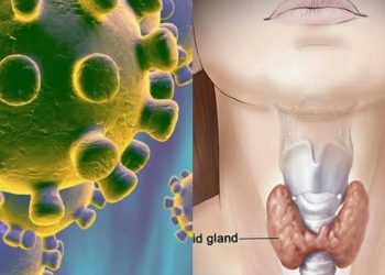 corona and thyroid