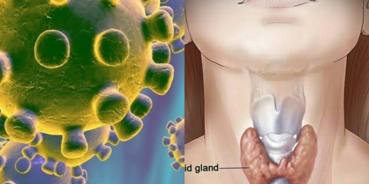corona and thyroid