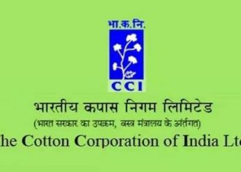 कॅाटन कॅार्पोरेशनमध्ये अप्रेंटिसशिपची संधी, ४८२ पदांसाठी अर्ज मागवले