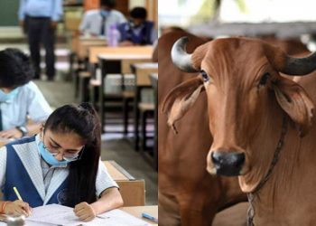 cow science exam