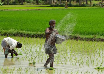 #व्हाअभिव्यक्त! शेती व ग्रामीण विभागासाठी पुन्हा बोलाची कढी आणि बोलाचाच भात