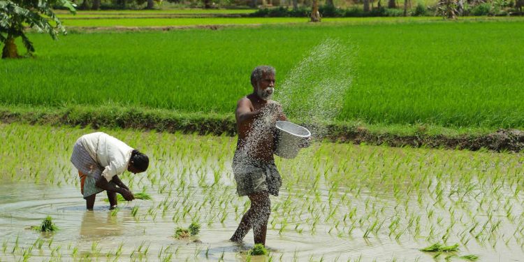 #व्हाअभिव्यक्त! शेती व ग्रामीण विभागासाठी पुन्हा बोलाची कढी आणि बोलाचाच भात