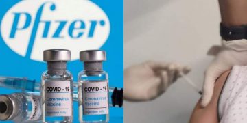 Pfizer's corona vaccine