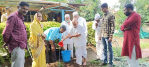 tree plantation