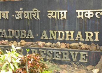 Tadoba Tiger Project