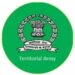 territorial army