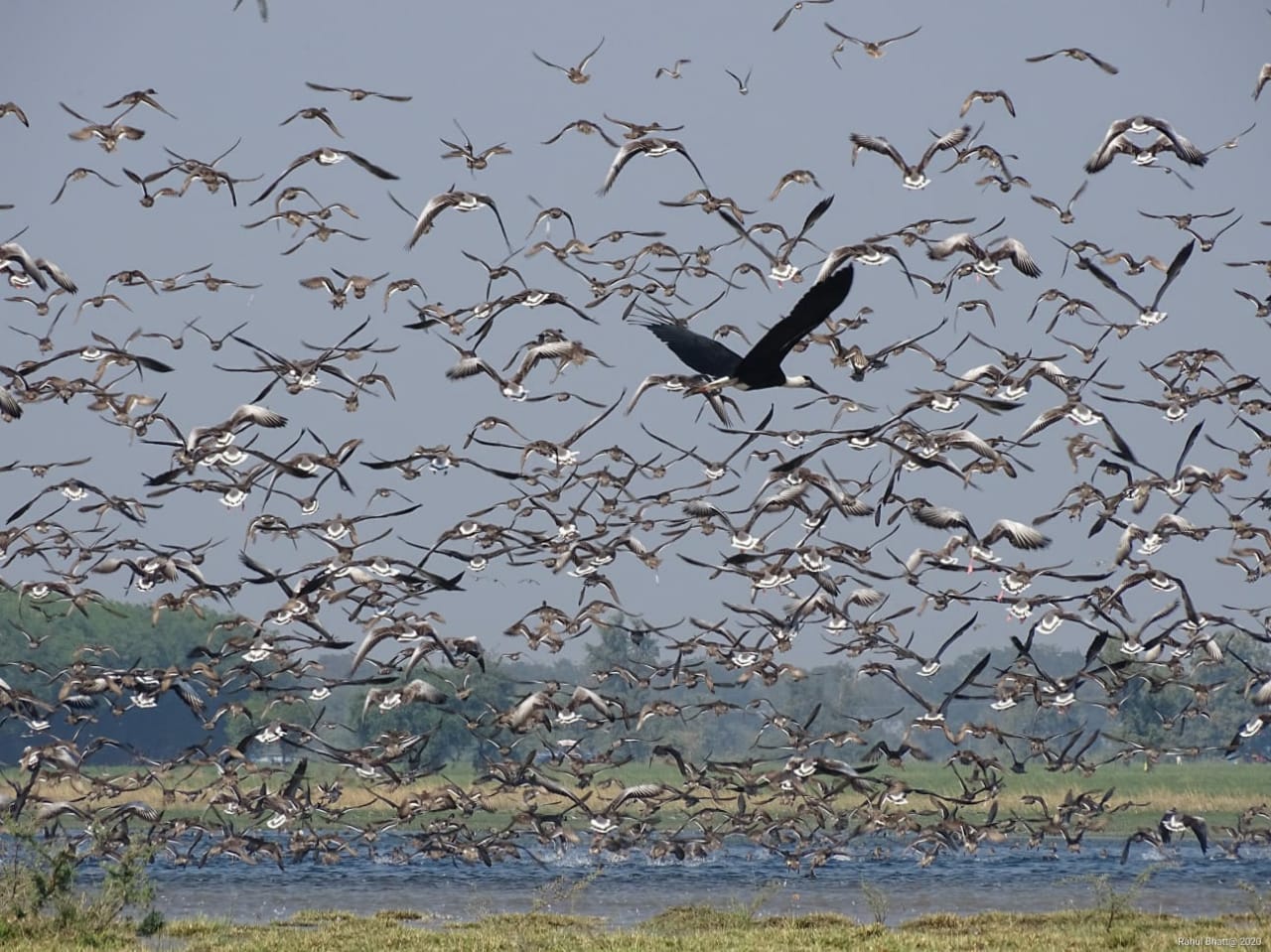 ramsar wetland