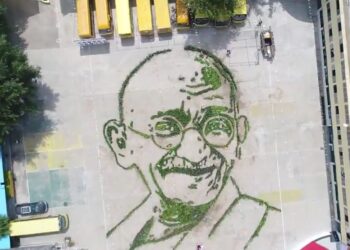 Environmental salute