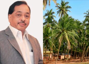 narayan rane