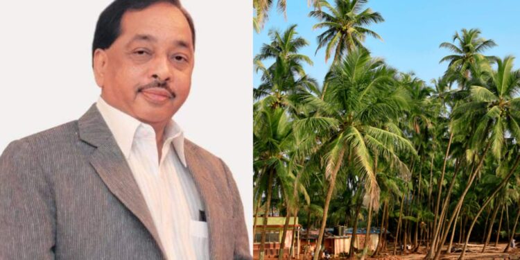 narayan rane