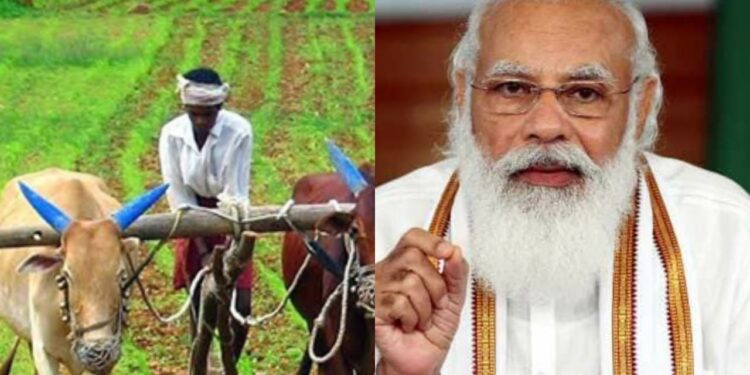 pm kisan yojana