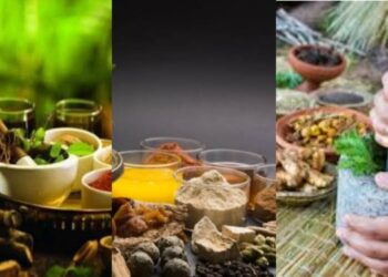 Ayurveda medicine