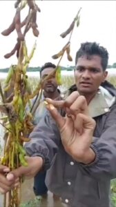 Farmer Shashank Deshmukh Latur