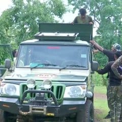 gadchiroli tiger (1)