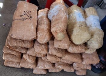 काश्मीर ते मुंबई ड्रग्स स्मगलिंग! महिलांचं कव्हर! मुंबईत चार आरोपींकडून २४ किलो ड्रग्स जप्त!