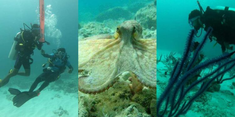 lakshadweep tourisam