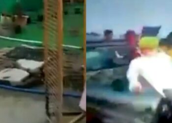 सिंघू सीमेवरील एका तरुणाच्या निर्घृण हत्येतील मारेकऱ्यांना फासावर लटकवा, पण लखीमपूरला चार शेतकऱ्यांना चिरडणाऱ्यांना विसरू नका!