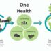 one health