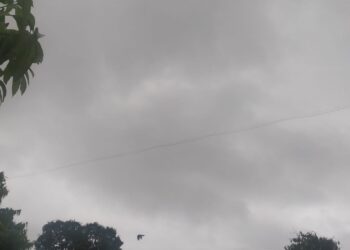 Heavy rainfall expected in these states