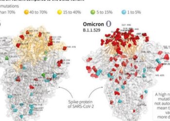 South african doctor revealed omicron variant symptoms