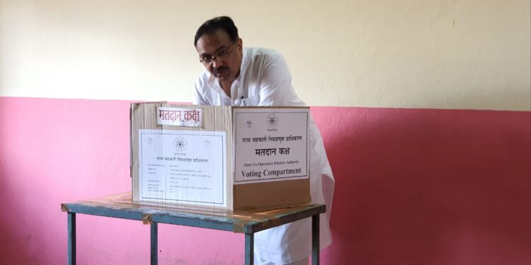 sangli voting
