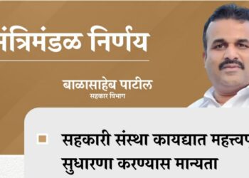 Cabinet Decision on Co-operation Act