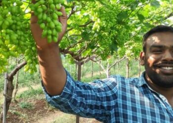Farmers to sell grapes at fixed rates!