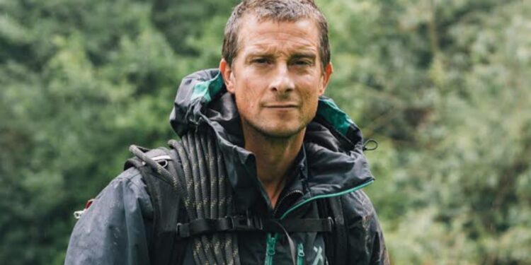 bear grylls