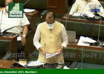 SG to build a statue of Chhatrapati Sambhaji Maharaj at Vadu Budruk