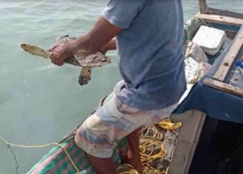 Mangroves Cell commendable job in protecting Marine bio-diversity