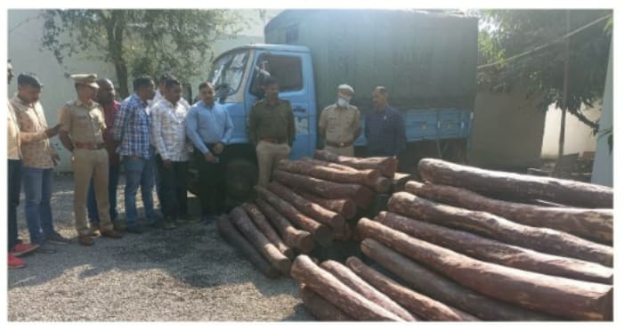 pushpa gang red sandlewood smuggling busted in sangli