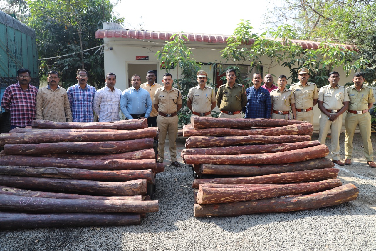 pushpa gang red sandlewood smuggling busted in sangli