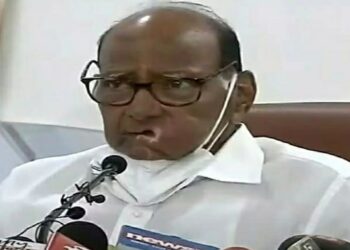 sharad pawar said ncp will contest elections in 3 states