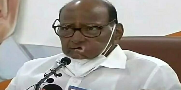 sharad pawar said ncp will contest elections in 3 states