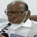 sharad pawar said ncp will contest elections in 3 states