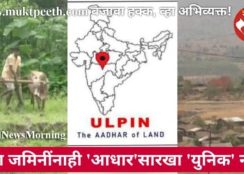 आता जमिनींनाही ‘आधार’सारखा ‘युनिक’ नंबर!