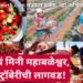 जव्हार-मोखाड्यात स्ट्रॉबेरीची यशस्वी लागवड, कृषी खात्याच्या प्रयत्नांनी शेतकऱ्यांचं जीवन बदलणार!