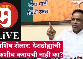 ईडी चौकशीप्रकरणी आशिष शेलारांचा प्रश्न, देशद्रोह्यांच्या प्रकरणात चौकशीच करायची नाही का?