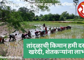 तांदळांची किमान हमी दरानं खरेदी, शेतकऱ्यांना लाभ!