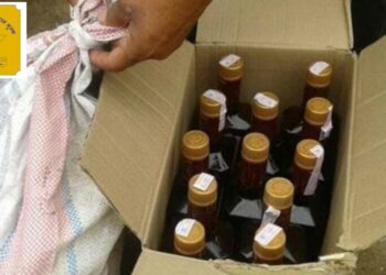 Maharashtra state excise